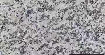 内江 芙蓉白（芝麻白大花）火烧面