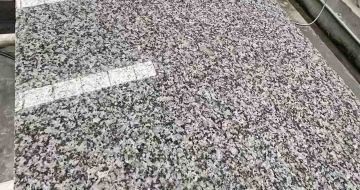 内江 芙蓉白光面