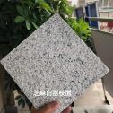 内江 芝麻白荔枝面干挂