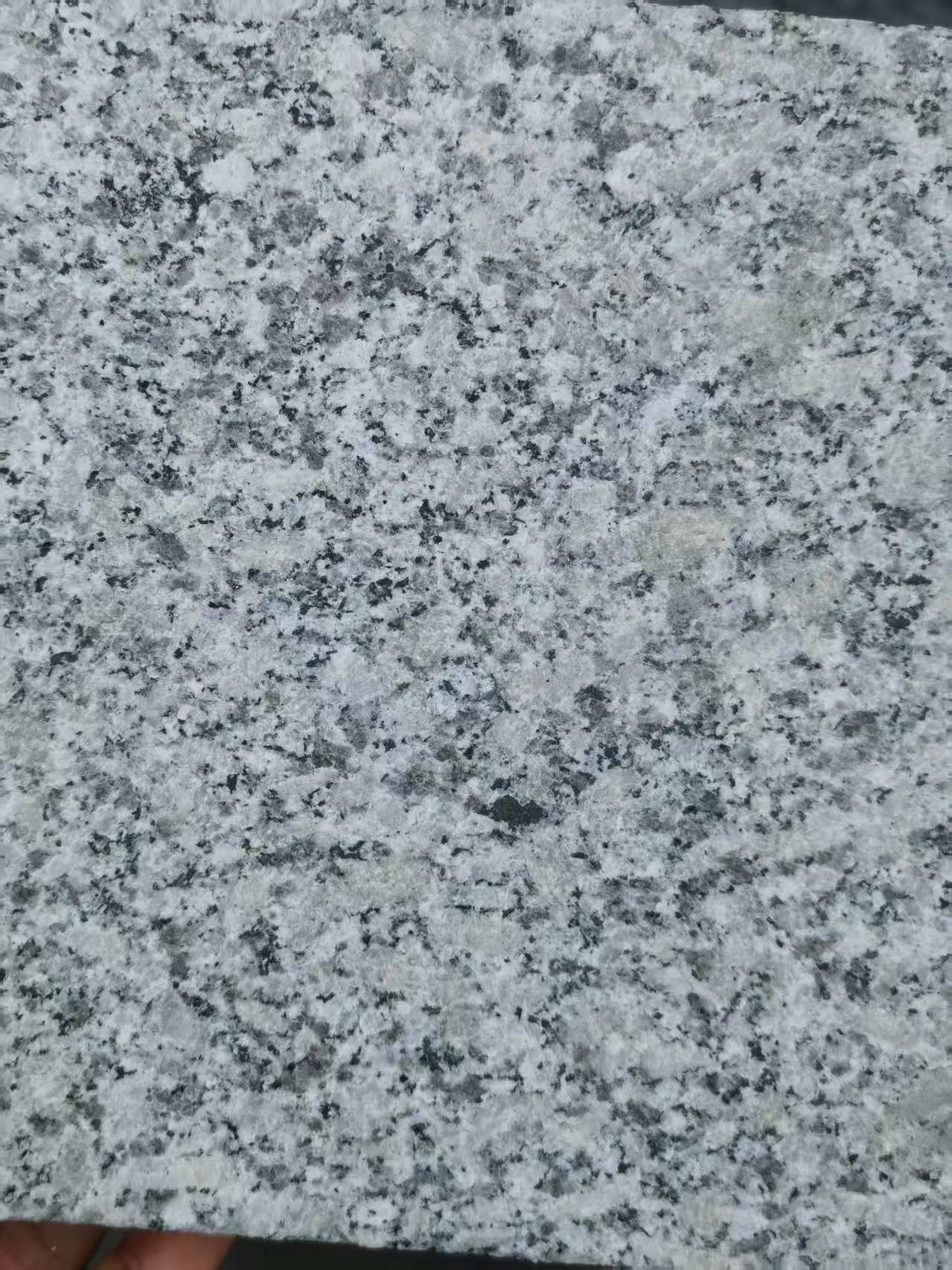 内江 芙蓉白火烧面