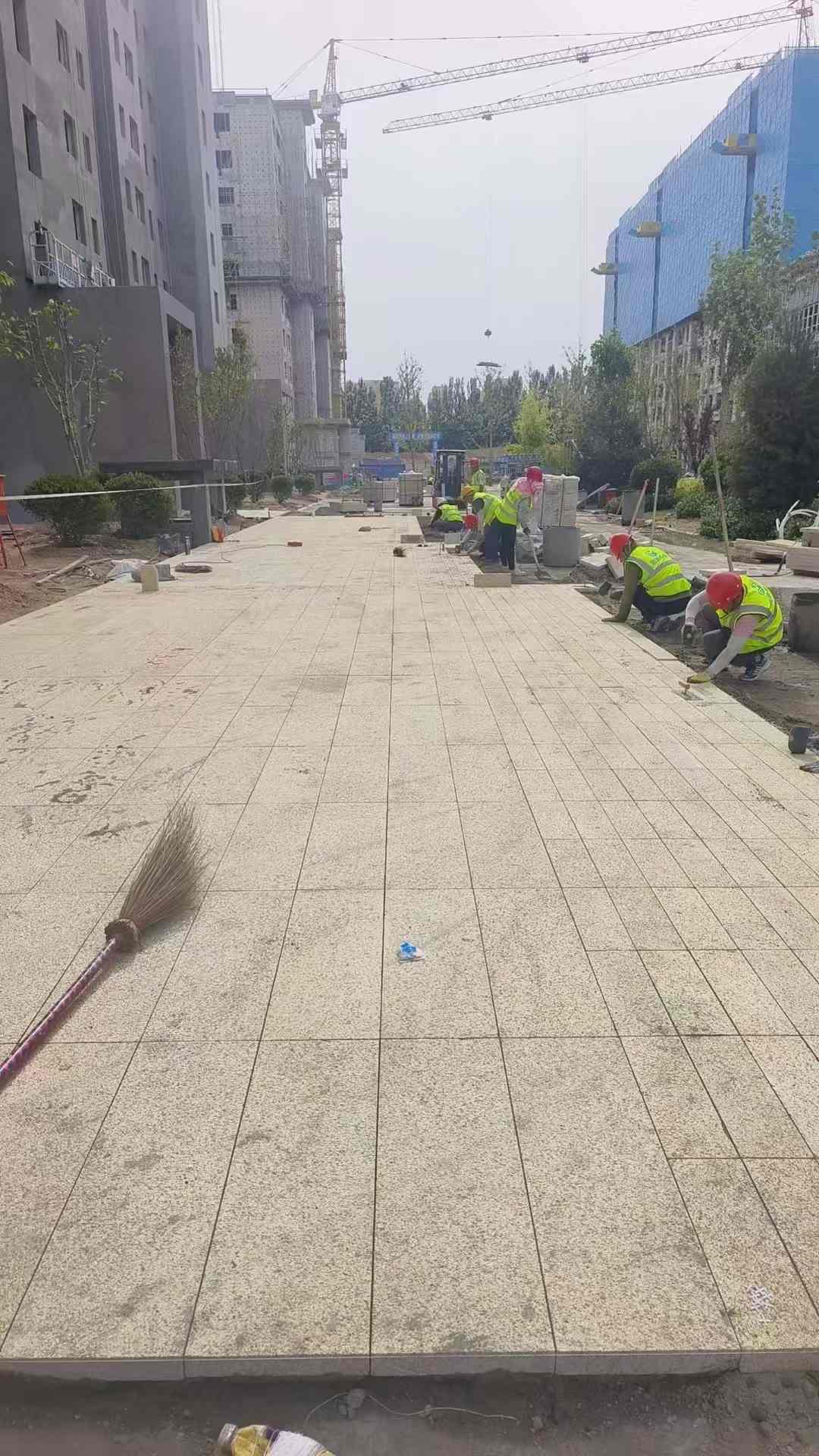 内江黄金麻荔枝面地铺案例