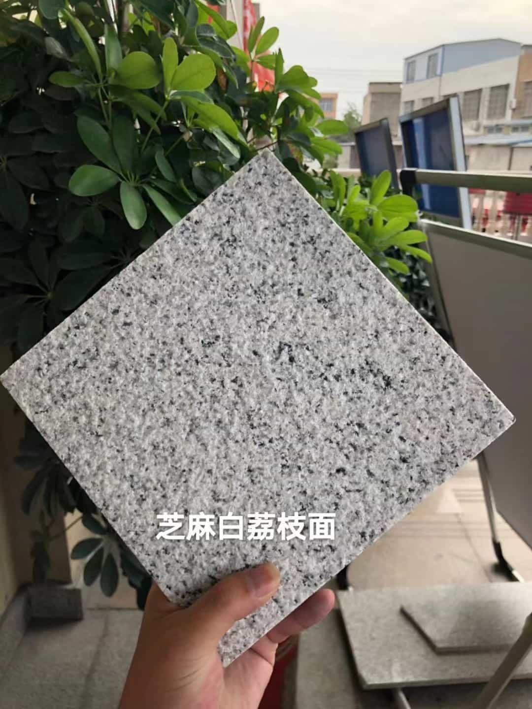 内江 芝麻白荔枝面干挂